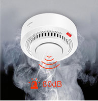 Détecteur de Fumée Intelligent Tuya Wifi 2024, Alarme 85DB, Capteur Incendie