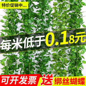 Refined Artificial Pothos Vines Plastic <b>Leaves</b> 10cm-30cm <b>Wall</b> Mounted <b>Decorative</b> Greenery Set - Product Image 4