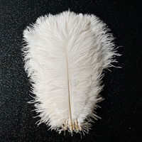 Plumes d'autruche blanches teintées de 30-35 cm en gros pour fêtes, carnavals, bricolage, artisanat, vêtements et décoration