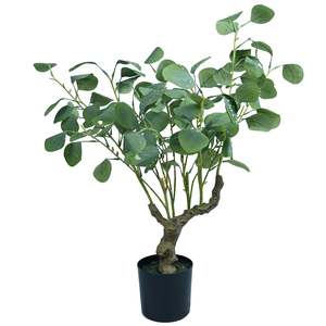 La dernière <span class=keywords><strong>d</strong></span>écoration haut de gamme <span class=keywords><strong>pour</strong></span> jardins intérieurs et extérieurs avec différents types de <span class=keywords><strong>plantes</strong></span> artificielles avec des <span class=keywords><strong>perles</strong></span> <span class=keywords><strong>d</strong></span>'<span class=keywords><strong>eau</strong></span> - Product Image 3