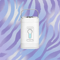 Pompe à air électrique - Pompe à air portable avec batterie 1200 mAh rechargeable par USB pour gonfler les matelas pneumatiques dans la voiture ou le camion
