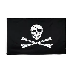 100% Polyester Durable Favric Banner 3x5 Outdoor Promotion Digital Silk Screen Printing Logo Skeleton Big Large Custom Flag