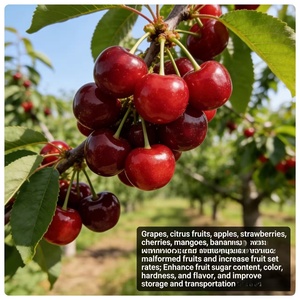 L'<span class=keywords><strong>engrais</strong></span> organique d'extrait d'<span class=keywords><strong>algues</strong></span> sous forme de <span class=keywords><strong>poudre</strong></span> noire améliore la résistance des plantes et les effets d'enracinement - Product Image 3