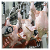 2025 nouveau Type Offre Spéciale 2000BPH équipement d'abattage automatique de ligne d'abattoir de poulet avec composant de moteur de noyau