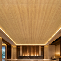 Plafonds en aluminium coloré de design moderne, panneaux de faux plafond en métal perforé sur mesure pour l'intérieur