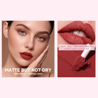 Maquillage de Noël en gros, 12 couleurs, gloss à lèvres liquide mat vegan longue durée, kit de rouge à lèvres cadeau, ensembles de gloss à lèvres personnalisés