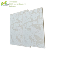 Panneau mural en ciment ignifuge 5mm 6mm Revêtement moderne sans amiante Panneau de ciment en fibre de bureau