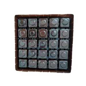 Vassoio per scatola di imballaggio con inserto in cioccolato in blister di plastica per animali domestici a 25 cavità personalizzato