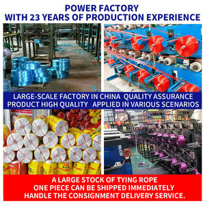 Dây nhựa trong suốt hoàn toàn mới, dây đeo trang màu, dây bó, dây đóng gói Bóng Cỏ chống mài mòn dày - Product Image 4