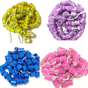 Bagues à Puce Personnalisées pour Pattes <span class=keywords><strong>de</strong></span> <span class=keywords><strong>Pigeon</strong></span> Voyageur <span class=keywords><strong>de</strong></span> Compétition <span class=keywords><strong>avec</strong></span> Nom, <span class=keywords><strong>Numéro</strong></span> <span class=keywords><strong>de</strong></span> <span class=keywords><strong>Téléphone</strong></span> et <span class=keywords><strong>Numéro</strong></span> <span class=keywords><strong>de</strong></span> Série en Couleur - Product Image 3