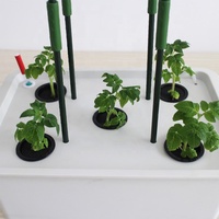 Kit de culture hydroponique de cm, plantation de tomate avec treillis, vignes en plein air, tour d'arbre, jardin vert