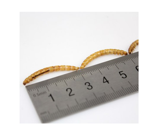 Usine <span class=keywords><strong>de</strong></span> bonne qualité d'aliments pour animaux <span class=keywords><strong>de</strong></span> compagnie riches en protéines <span class=keywords><strong>farine</strong></span> séchée ver - Product Image 4