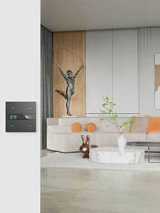 Interruptor inteligente de 4 vías Tuya Zigbee de aleación de aluminio con botón de Metal de detección de cuerpo humano de Radar para Dispositivo de automatización del hogar del Hotel M8 Pro - Product Image 4