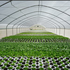 Ysdnft — serre <span class=keywords><strong>agricole</strong></span> hydroponique, système d'agriculture - Product Image 6