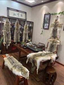 Venta Directa de Fábrica Pieles de Coyote de Alta Calidad Pieles Completas de Coyote - Product Image 4