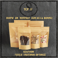 Sachet refermable en papier kraft brun écologique de haute qualité avec fermeture éclair, petit format, qualité alimentaire, pour aliments pour animaux de compagnie (PE, CPP)