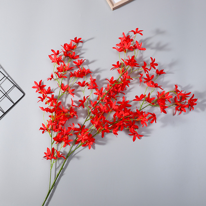 Orquídea Oncidium de color rojo brillante