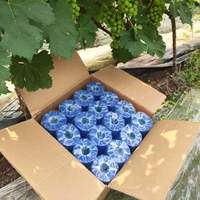 Ruban de fixation en PVC souple givré pour la soutien des plantes, les vignobles et les fermes