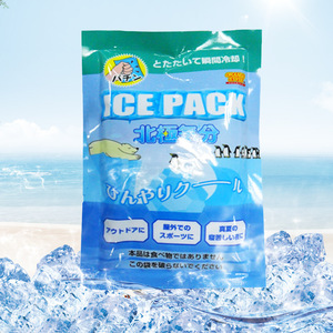 Les blocs de glace bio en tissu non tissé empêchent la condensation et ne nécessitent pas d'injection d'eau. Convient pour la livraison express de produits surgelés - Product Image 2