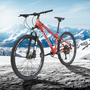 Xe Đạp Stradalli Sợi Carbon Hàng Không Nhôm Phía Trước Hệ Thống Treo Giá Phanh Đĩa 21 Tốc Độ Mtb Trọng Lượng Nhẹ Tất Cả Các Núi - Product Image 5