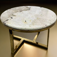 Table basse pivotante de luxe moderne Patagonia Crystal Marble Round Design pour meubles de salon à usage domestique
