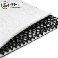 Géogrille de drainage composite 3D en HDPE certifiée ISO pour le drainage des eaux souterraines sur les bords de route