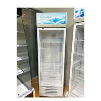 Réfrigérateur vertical commercial en acier inoxydable pour boissons, avec refroidissement direct, commande mécanique, éclairage LED et porte vitrée, idéal pour les supermarchés