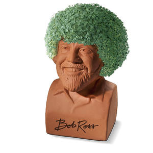 allergy immune bites