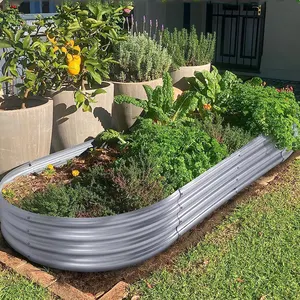 야채와 꽃을위한 6 피트 아연 도금 정원 침대 금속 정원 화분 상자