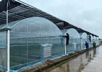 Serre Multispan agricole commerciale à faible coût avec système hydroponique de qualité supérieure rentable à vendre