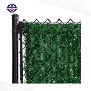 Evergreen Permahedge ile 6 'yeşil zincir bağlantı çit