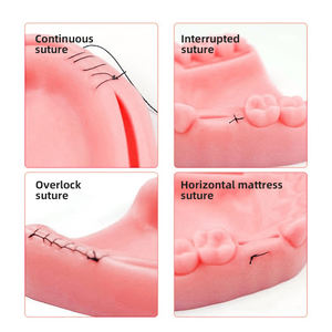 Profesyonel tıbbi prosedürler için dikişsiz dikiş sütür seti komple sütür seti hassas kilidini - Product Image 6