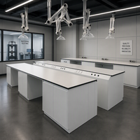 Banc de travail en acier pour laboratoire avec armoires de rangement pour produits chimiques, pour hôpitaux, écoles et ateliers