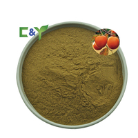 Extrait de kaki naturel de haute qualité 10% d'acide tannique Fournisseur d'usine Diospyros Kaki Échantillon gratuit