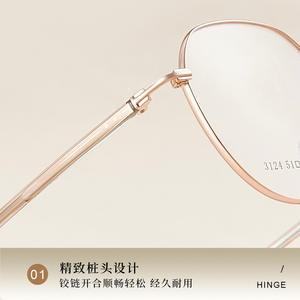 Monturas de Gafas Ovaladas de Aleación Novedosas 3124 con Lentes de Resina, Unisex, Tendencia de Moda, Montura Completa, Origen Danyang - Product Image 2