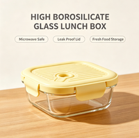 Boîte à lunch en verre borosilicate de 520 ml, résistante au micro-ondes, anti-fuite, pour conserver les aliments frais, récipient de stockage alimentaire pour le déjeuner, bol à soupe