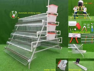 Poulet pondeuse ferme avicole prêt à pondre batterie Cage poules pondeuses élevage d'œufs <span class=keywords><strong>maison</strong></span> automatique Animal cage à poulet à <span class=keywords><strong>vendre</strong></span> - Product Image 4