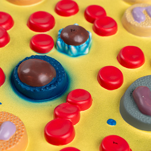 Modello di cellule del sangue modello di cellule del sangue in PVC - Product Image 3