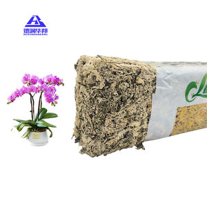 Musgo de Sphagnum natural Huabang para suministros de jardín, cultivo de suelo y Injerto de plántulas, musgo de agua - Product Image 5