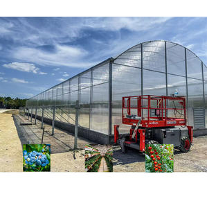 Grande Kit Estufa Jardim com Painel Policarbonato e Alumínio Moldura Verde Capa Material - Product Image 4