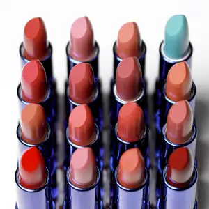 Custom Wholesale Private Label Cruelty Free Waterproof Rouge A Levre Matte Cosmetics Lipstick Nude Vegan Lipstick