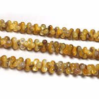 Perles en coquillage naturel d'eau douce en forme d'arachide, 3x6 4x8mm, perles en coquillage en vrac pour colliers, vêtements, accessoires de bricolage faits à la main