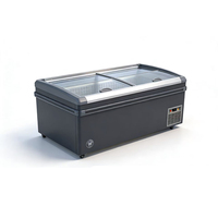 Congélateur coffre ultra basse température 300L pour viande et fruits de mer, 2 étoiles, sans givre, 2 portes