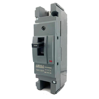 Interrupteur DC MCCB 1P 2P 80A 100A 160A 250A Disjoncteur Boîte de combinateur solaire photovoltaïque pour voiture électrique 250V 500V 1000V