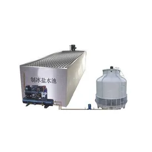 CE Approved 10 Tons Auto Ice Block Maker Used in Africa Area for Fishery  Fish Cooling and Seafood Preservation Block Ice Machine - China Ice Making  Machine, Ice Machine