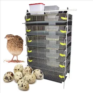 Cheap Price New Design Automatic Quail Battery Cage with water system