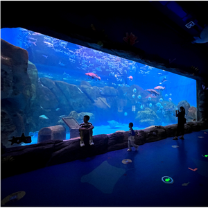 ตู้ปลาทรงยาวขนาดใหญ่มีตัวกรองขาตั้งสำหรับตู้ปลาแบบไร้ขอบ - Product Image 1