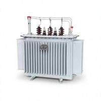 Transformateur de puissance immergé dans l'huile à trois enroulements S11, entrée 11 kV, sortie 400 V, 50 Hz 60 Hz