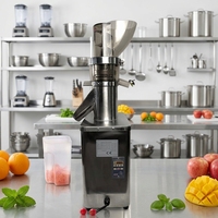 RVS Verticale Commerciële Sapcentrifuge Slow Cold Press Schroefpers Hoge Efficiëntie Fruit- en Groentesapcentrifuge