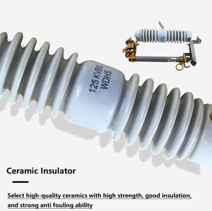 Fusible de Alta Tensión para Exteriores, 10KV, 12KV/100A-200A, Tipo Cerámico, Fusible de Poste Lingke - Product Image 6